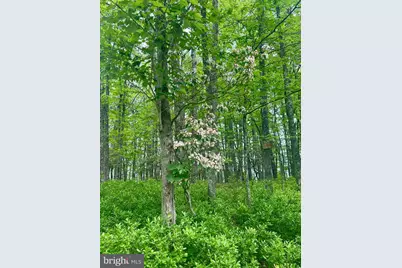 5620 High Knob Loop, Old Fields, WV 26845 - Photo 35