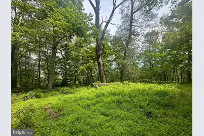 5620 High Knob Loop, Old Fields, WV 26845 - Photo 21
