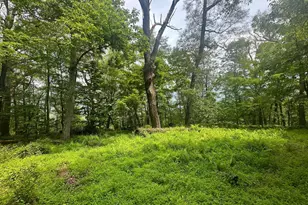 5620 High Knob Loop, Old Fields, WV 26845 - Photo 21