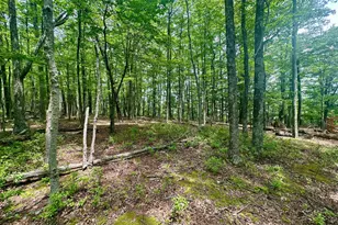 5620 High Knob Loop, Old Fields, WV 26845 - Photo 3