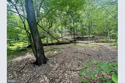 5620 High Knob Loop, Old Fields, WV 26845 - Photo 19