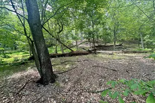 5620 High Knob Loop, Old Fields, WV 26845 - Photo 19