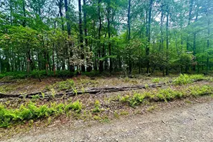 5620 High Knob Loop, Old Fields, WV 26845 - Photo 33