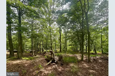 5620 High Knob Loop, Old Fields, WV 26845 - Photo 7