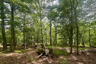 5620 High Knob Loop, Old Fields, WV 26845 - Photo 7