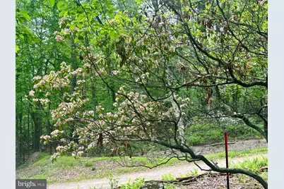 5620 High Knob Loop, Old Fields, WV 26845 - Photo 31