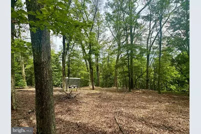 5620 High Knob Loop, Old Fields, WV 26845 - Photo 13