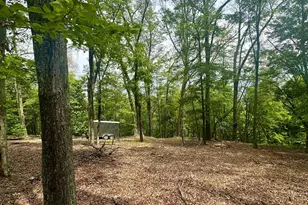 5620 High Knob Loop, Old Fields, WV 26845 - Photo 13