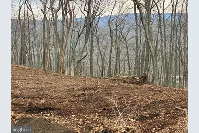 Lot 1 Toms Knob Approach, Lost River, WV 26810 - Photo 11
