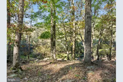 15 Meadow View Drive, Lost River, WV 26810 - Photo 29