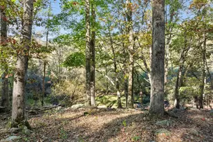 15 Meadow View Dr, Lost River, WV 26810 - Photo 29