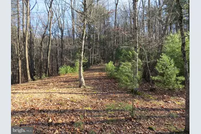 10 Cedarwood Drive Road, Mathias, WV 26812 - Photo 11