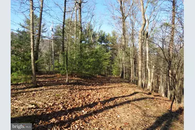 10 Cedarwood Drive Road, Mathias, WV 26812 - Photo 7