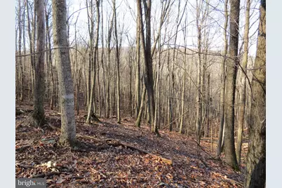 12 Cedarwood Drive Road, Mathias, WV 26812 - Photo 3