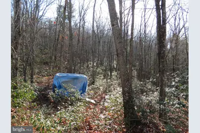 12 Cedarwood Drive Road, Mathias, WV 26812 - Photo 11