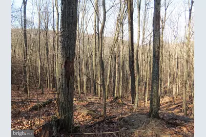 14A Cedarwood Drive Road, Mathias, WV 26812 - Photo 7