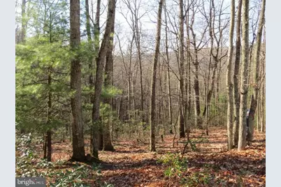 12 & 14A Cedcarwood, Mathias, WV 26812 - Photo 1