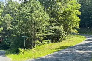 Lot 3 Clifford Hollow Rd, Moorefield, WV 26836 - Photo 1