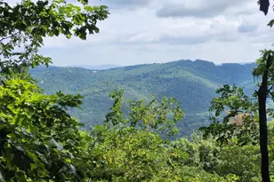 6836 State Road 55, Moorefield, WV 26836 - Photo 11