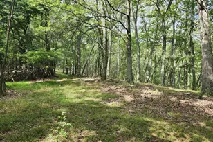 6836 State Road 55, Moorefield, WV 26836 - Photo 27