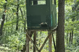 6836 State Road 55, Moorefield, WV 26836 - Photo 25