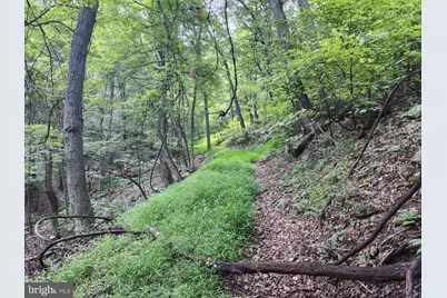 6836 State Road 55, Moorefield, WV 26836 - Photo 83