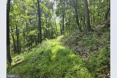 6836 State Road 55, Moorefield, WV 26836 - Photo 81