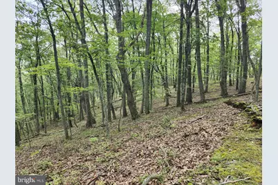 6836 State Road 55, Moorefield, WV 26836 - Photo 43