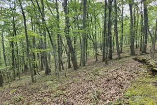 6836 State Road 55, Moorefield, WV 26836 - Photo 43