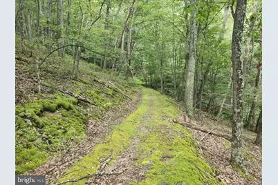 6836 State Road 55, Moorefield, WV 26836 - Photo 39