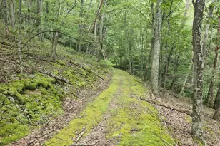 6836 State Road 55, Moorefield, WV 26836 - Photo 39