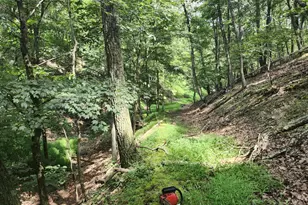 6836 State Road 55, Moorefield, WV 26836 - Photo 99