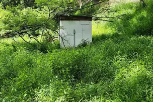 6836 State Road 55, Moorefield, WV 26836 - Photo 49