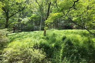 6836 State Road 55, Moorefield, WV 26836 - Photo 87