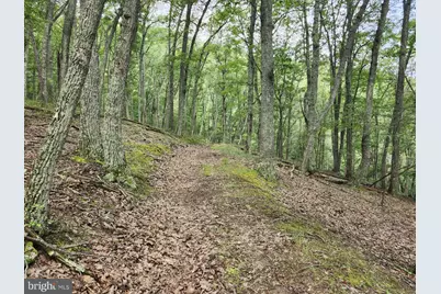 6836 State Road 55, Moorefield, WV 26836 - Photo 47