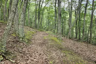 6836 State Road 55, Moorefield, WV 26836 - Photo 47