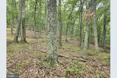 6836 State Road 55, Moorefield, WV 26836 - Photo 37