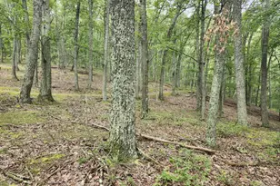 6836 State Road 55, Moorefield, WV 26836 - Photo 37