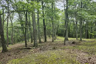 6836 State Road 55, Moorefield, WV 26836 - Photo 29