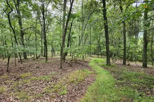 6836 State Road 55, Moorefield, WV 26836 - Photo 15