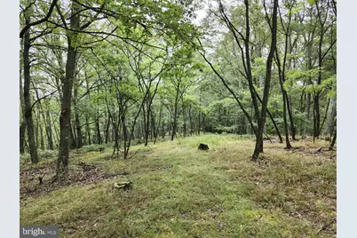 6836 State Road 55, Moorefield, WV 26836 - Photo 23