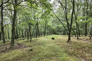 6836 State Road 55, Moorefield, WV 26836 - Photo 23