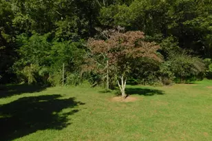 3856 Waites Run Rd, Wardensville, WV 26851 - Photo 39