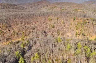 1956 Dove Hollow Rd, Mathias, WV 26812 - Photo 107