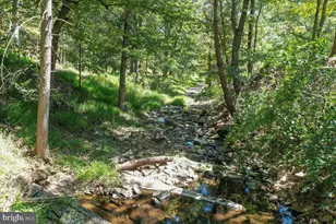 1956 Dove Hollow Rd, Mathias, WV 26812 - Photo 77