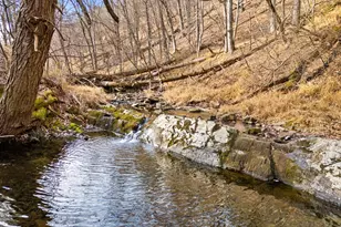 1956 Dove Hollow Rd, Mathias, WV 26812 - Photo 9