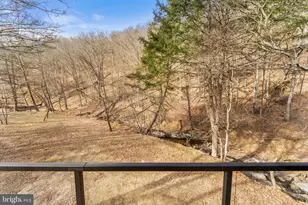1956 Dove Hollow Rd, Mathias, WV 26812 - Photo 101