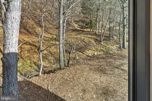 1956 Dove Hollow Rd, Mathias, WV 26812 - Photo 51