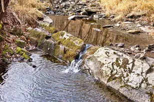 1956 Dove Hollow Rd, Mathias, WV 26812 - Photo 97