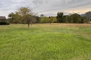 1667 J C Markwood Rd, Purgitsville, WV 26845 - Photo 43